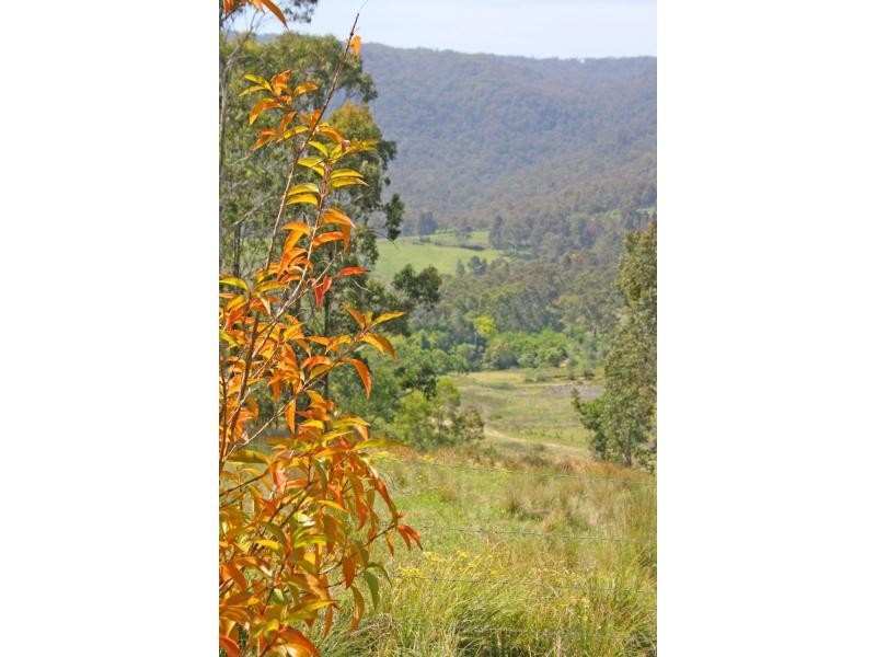 207 Q8 Road, Mount Vincent NSW 2323