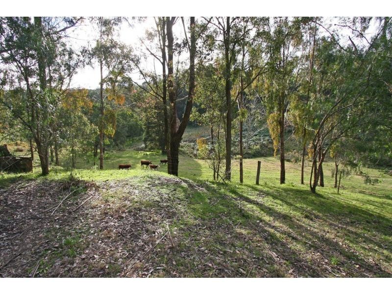 207 Q8 Road, Mount Vincent NSW 2323