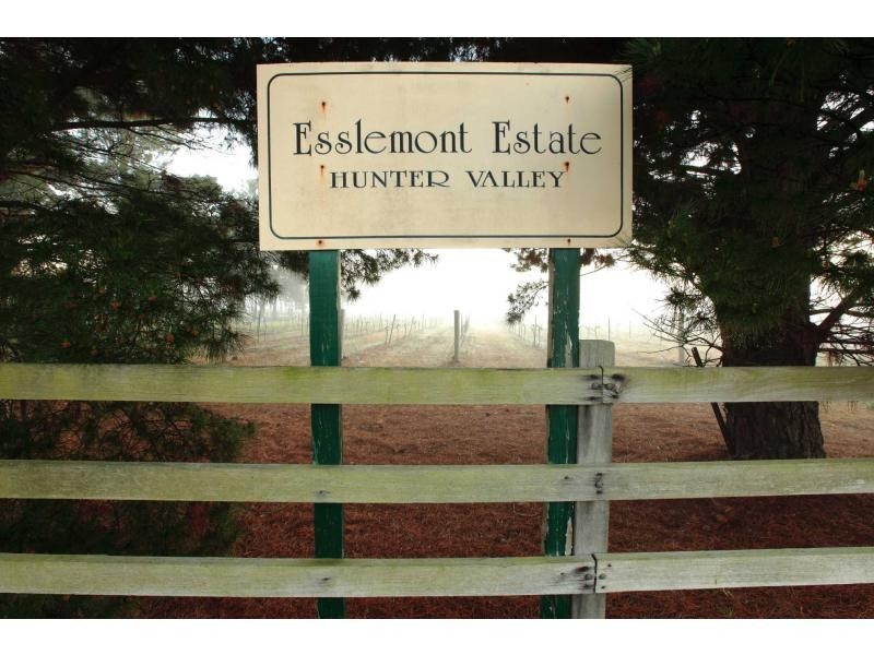 397 Milbrodale Road, Broke NSW 2330