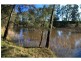 397 Milbrodale Road, Broke NSW 2330