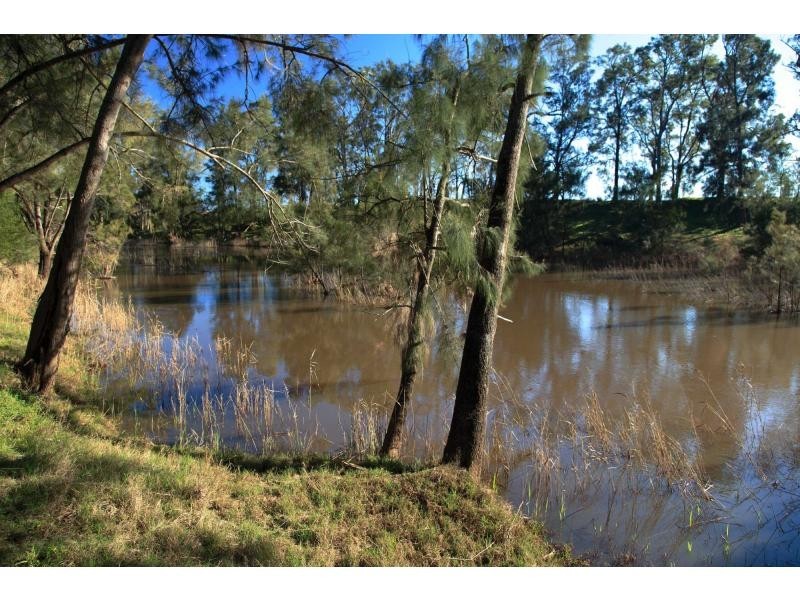 397 Milbrodale Road, Broke NSW 2330