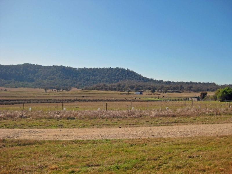 41 Cochrane Street, Broke NSW 2330