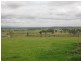 181 Elderslie Road, Branxton NSW 2335