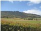 482A Lambs Valley Road, Lambs Valley NSW 2335