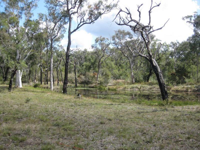 408 Averys Lane, Buchanan NSW 2323