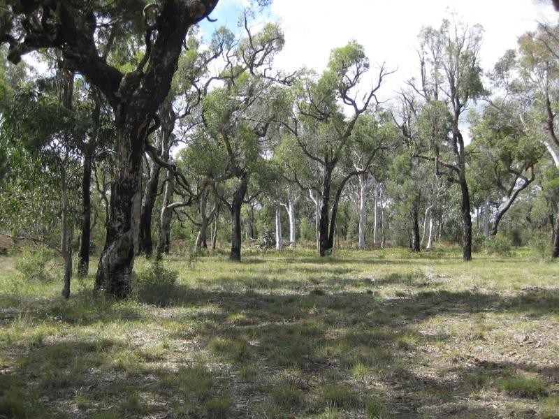 408 Averys Lane, Buchanan NSW 2323