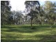 Lot 3 104 North Arm Rusty Lane, Branxton NSW 2335