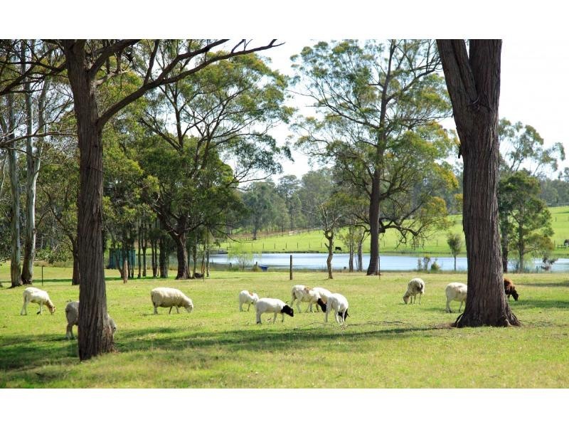 136 Whitings Lane, Quorrobolong NSW 2325