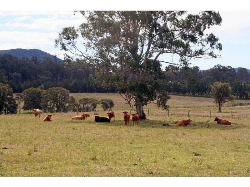 512 Congewai Road, Congewai NSW 2325