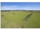 379 Talga Road, Lovedale NSW 2325