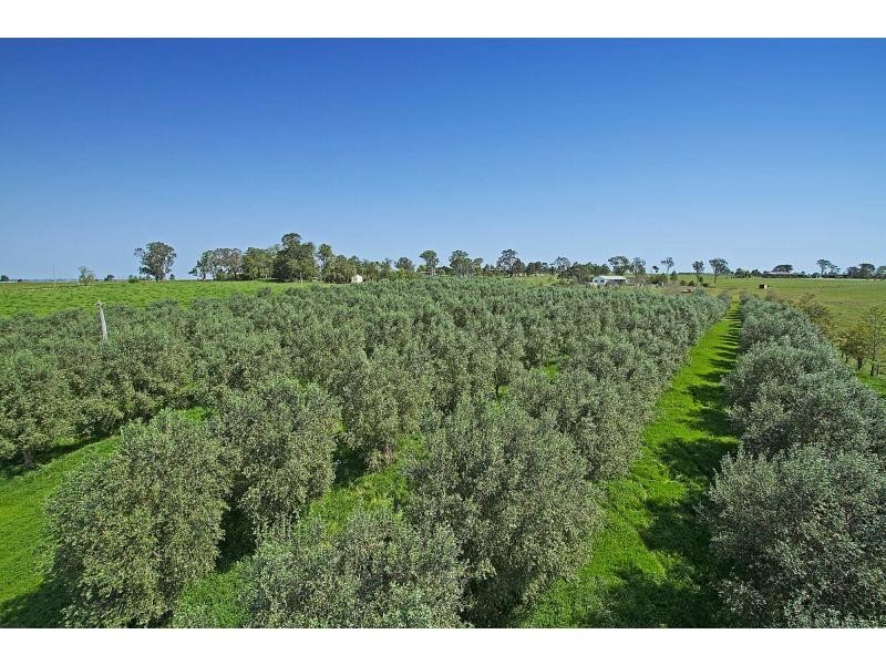 137 Knockfin Road, Luskintyre NSW 2321