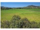 137 Knockfin Road, Luskintyre NSW 2321