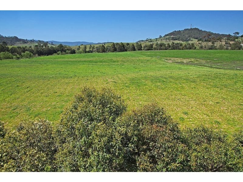 137 Knockfin Road, Luskintyre NSW 2321