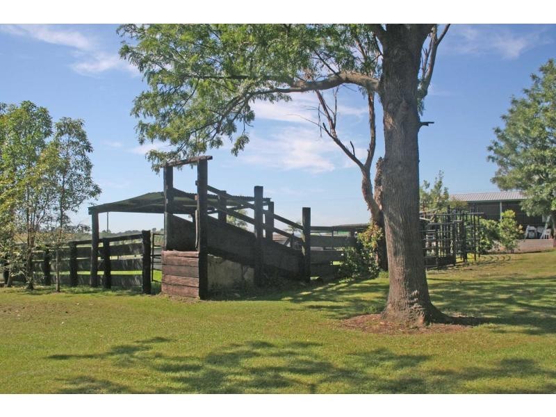 137 Knockfin Road, Luskintyre NSW 2321