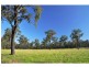 26 Lodge Road, Lovedale NSW 2325