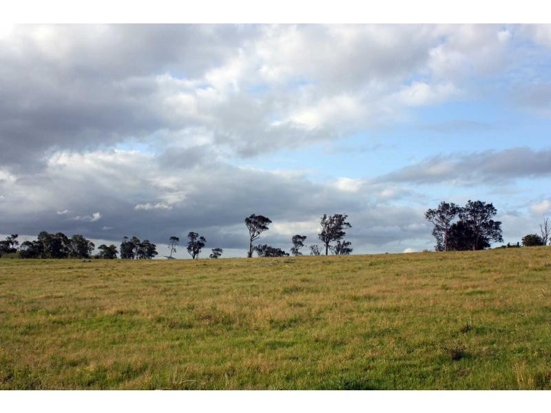 102 Clarence Street, Wallalong NSW 2320