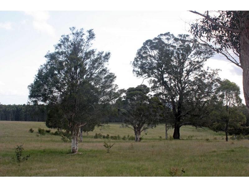 210 Fotheringay Road, Clarence Town NSW 2321