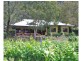 940 Milbrodale Road, Broke NSW 2330