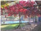 940 Milbrodale Road, Broke NSW 2330