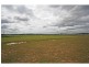 64 Wine Country Drive, Nulkaba NSW 2325