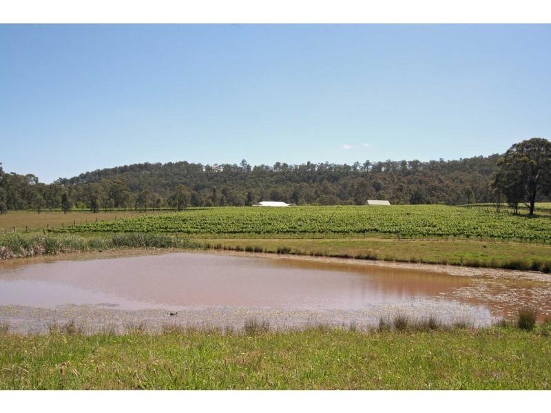 208 Talga Road, Lovedale NSW 2325