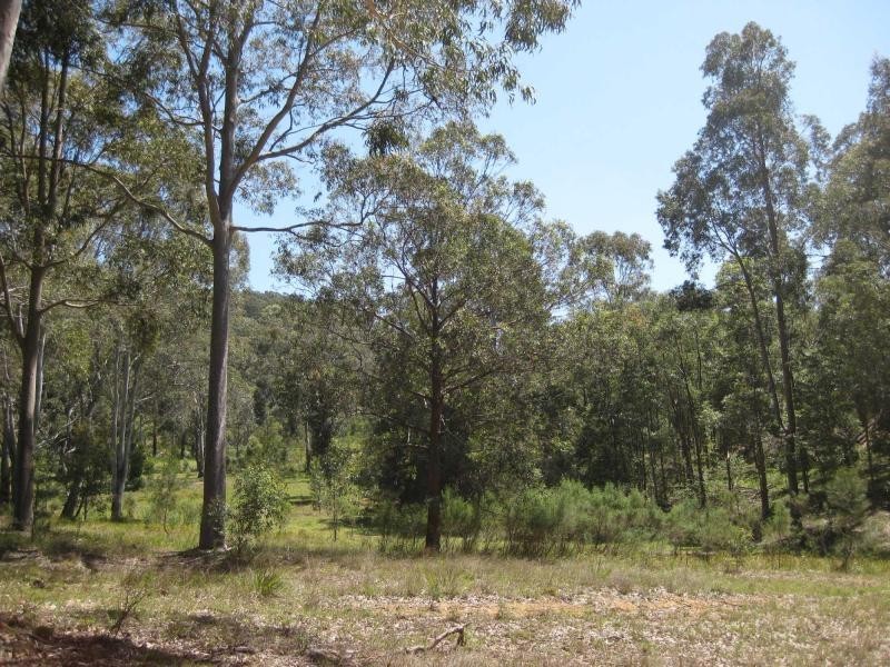 779 Debeyers Road, Pokolbin NSW 2320