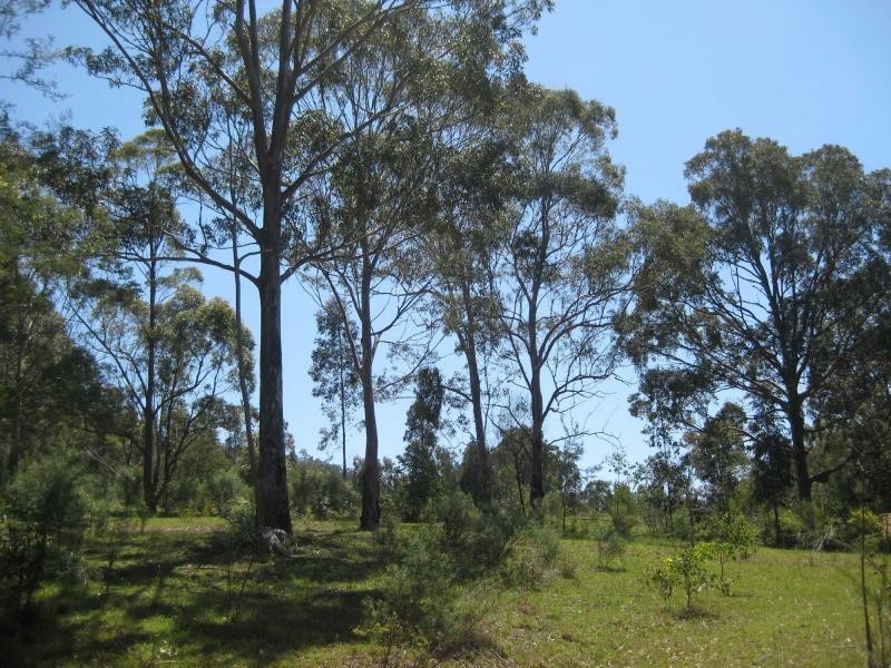 779 Debeyers Road, Pokolbin NSW 2320