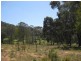 779 Debeyers Road, Pokolbin NSW 2320
