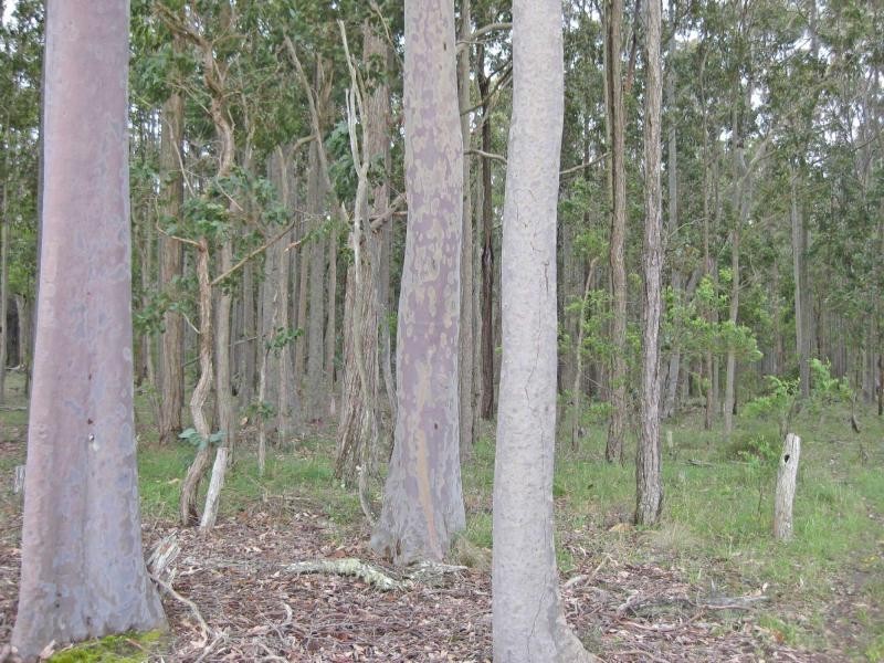 Quorrobolong NSW 2325