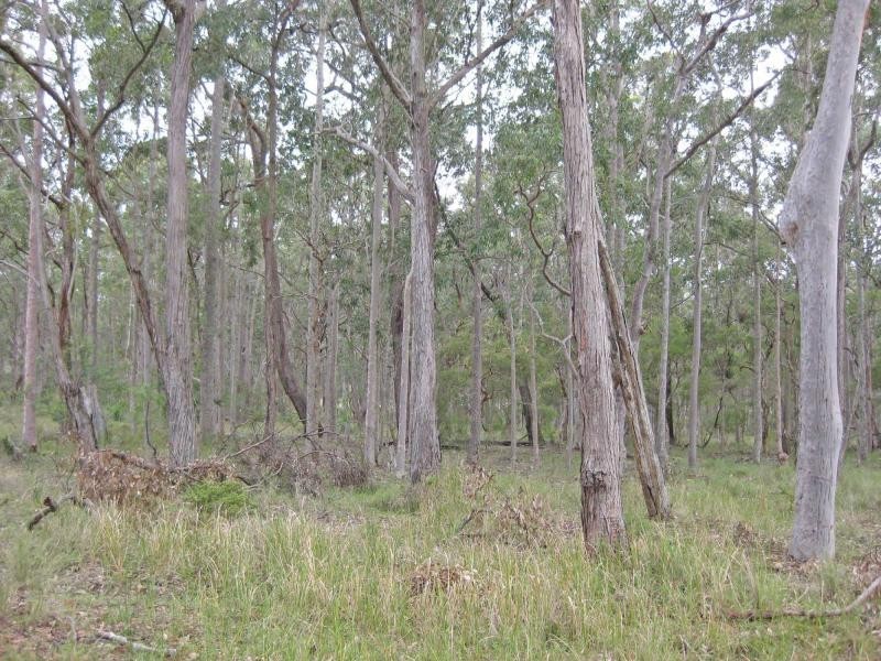 Quorrobolong NSW 2325