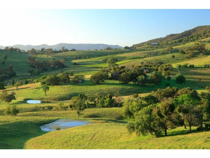 632 Mount View Road, Mount View NSW 2325