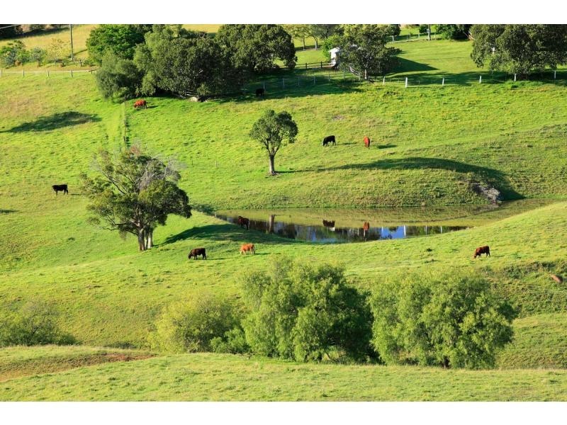 632 Mount View Road, Mount View NSW 2325