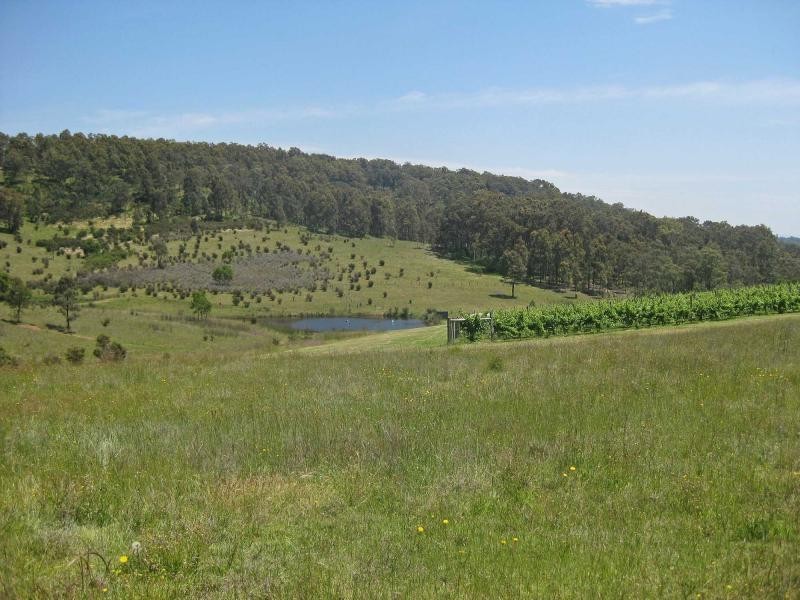 87 Camp Road, Lovedale NSW 2325