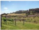 87 Camp Road, Lovedale NSW 2325