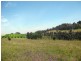 87 Camp Road, Lovedale NSW 2325