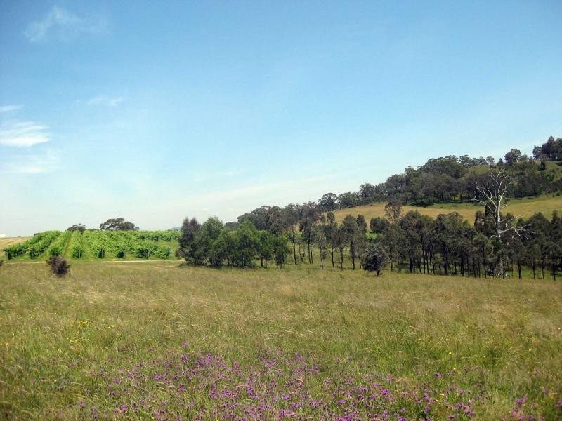 87 Camp Road, Lovedale NSW 2325