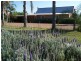 196 Wilderness Road, Lovedale NSW 2325