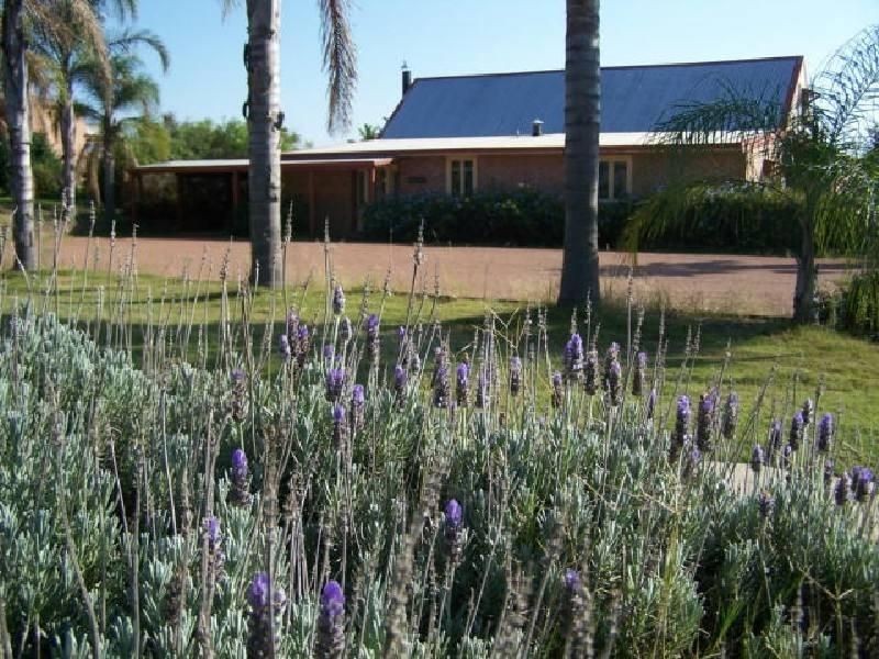 196 Wilderness Road, Lovedale NSW 2325