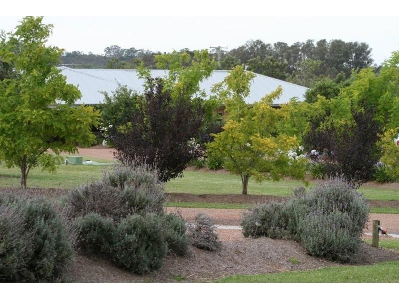 196 Wilderness Road, Lovedale NSW 2325