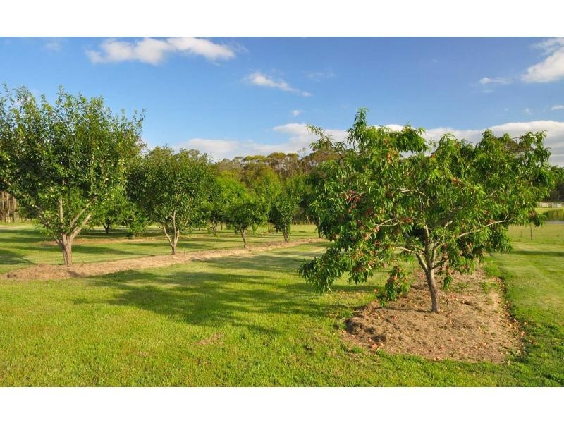 117 Kelman Street, Lower Belford NSW 2335