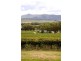 722 & 730 Milbrodale Road, Broke NSW 2330