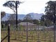 181 Sweetwater Road, Pokolbin NSW 2320