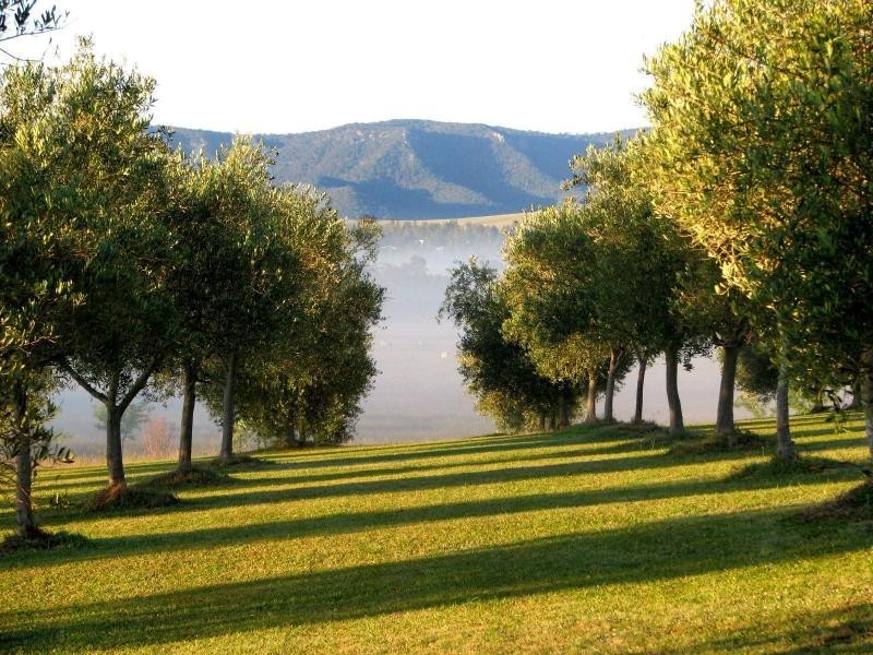 497 Talga Road, Lovedale NSW 2325