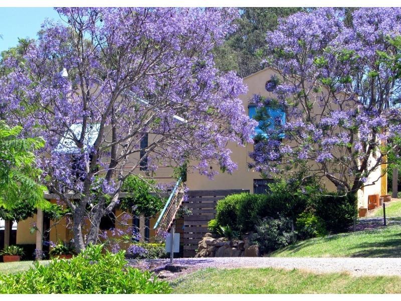 497 Talga Road, Lovedale NSW 2325