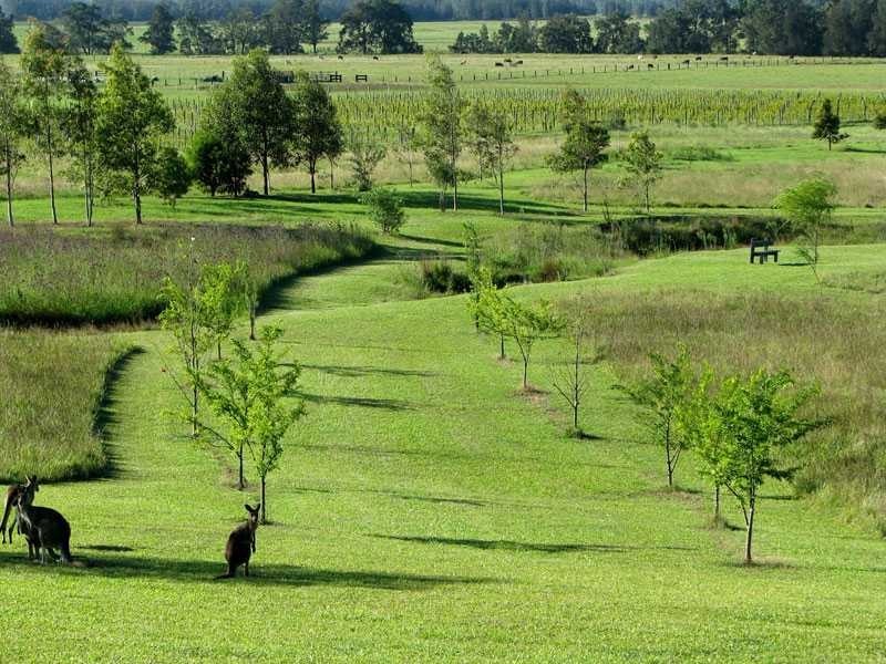 497 Talga Road, Lovedale NSW 2325