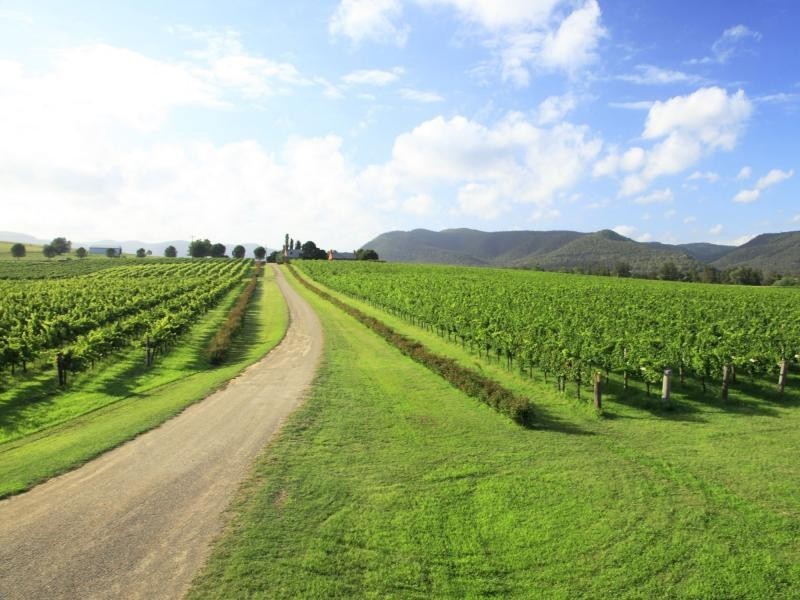 135 Fordwich Road, Broke NSW 2330