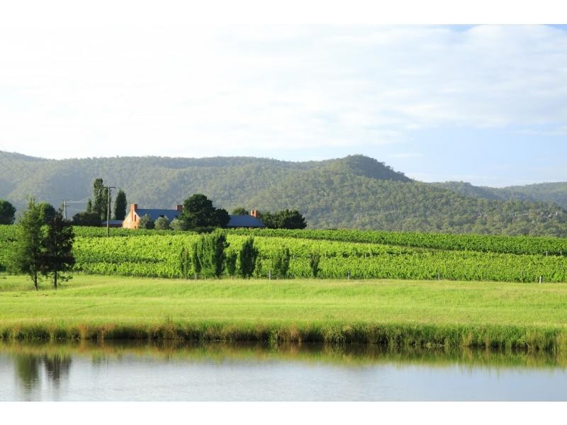 135 Fordwich Road, Broke NSW 2330