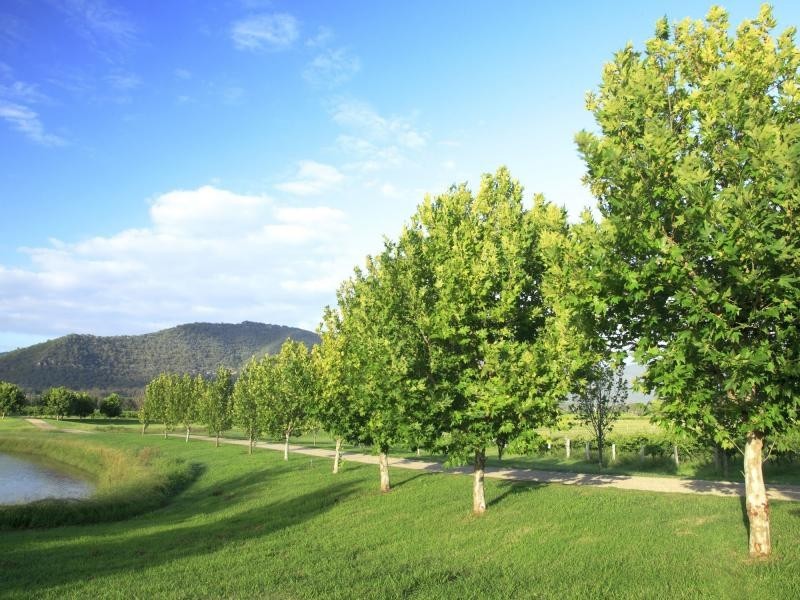 135 Fordwich Road, Broke NSW 2330