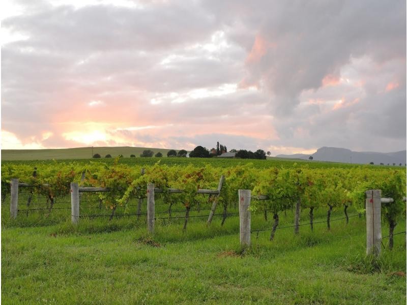 135 Fordwich Road, Broke NSW 2330