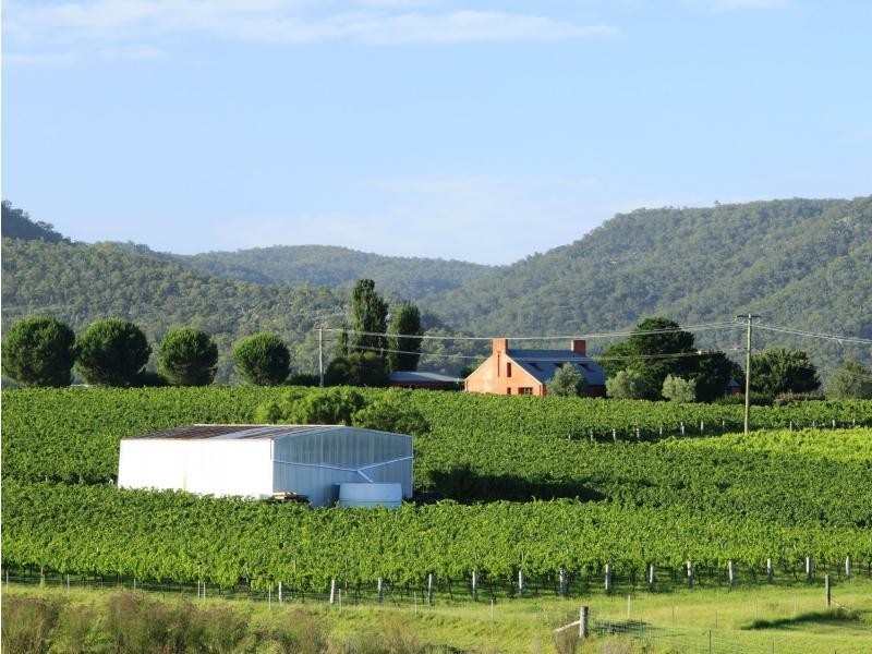 135 Fordwich Road, Broke NSW 2330